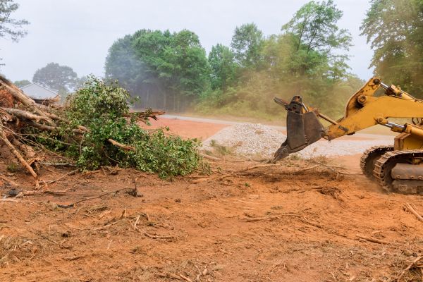 Ground Clearing in Westfield