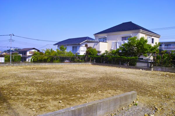 Cost of Lot Clearing Service in Westfield