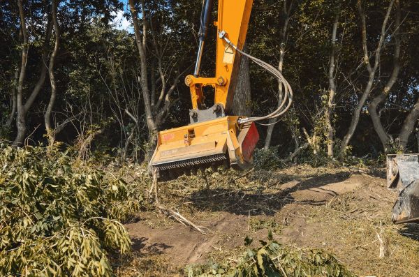 Brush Removal Service in Westfield