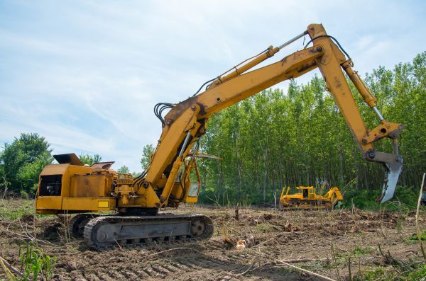 Farm Clearing in Westfield