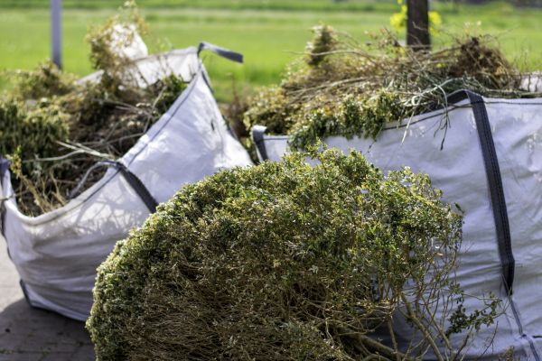 Cost of Bushes Clearing in Westfield