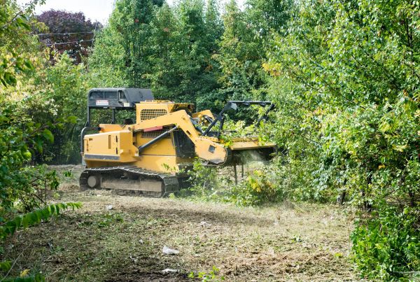 Pathway Clearing in Westfield