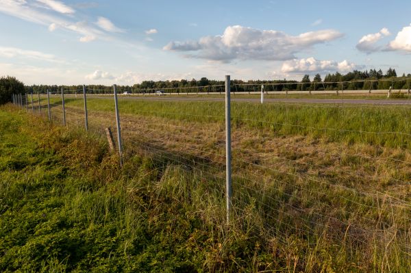 Property Line Clearing in Westfield