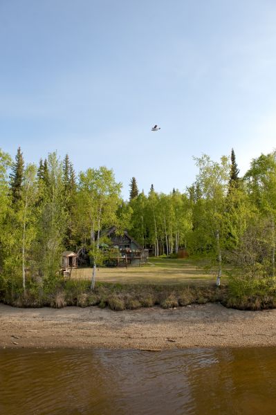 Waterfront Land Clearing in Westfield