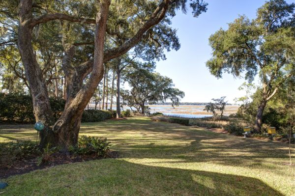 Lakefront Property Clearing in Westfield
