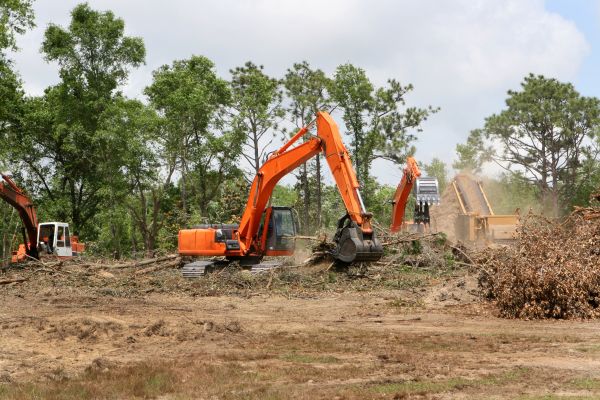 Commercial Lot Clearing in Westfield