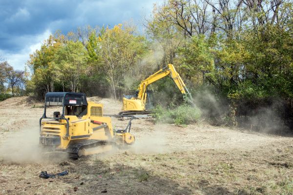 Terrain Clearing in Westfield