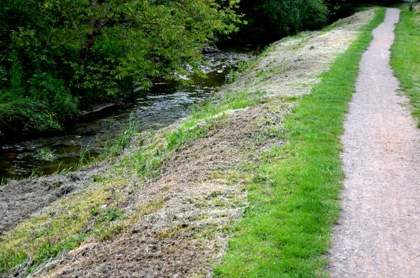 Trail Cutting in Westfield